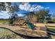 Community playground with multiple slides, climbing structures, and soft landing surfaces at 5315 Cedarshake Ln, Valrico, FL 33596