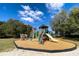 Community playground featuring slides, climbing areas and bordered by mature trees at 5315 Cedarshake Ln, Valrico, FL 33596