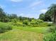 Expansive backyard with lush green grass and natural wooded scenery at 6114 Oak Cluster Cir, Tampa, FL 33634