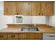 Bright kitchen featuring wood cabinets and a stainless steel double sink overlooking the backyard at 6114 Oak Cluster Cir, Tampa, FL 33634