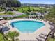 An inviting community pool surrounded by sun loungers and palm trees at 7024 Bradbury Cir, Wesley Chapel, FL 33545