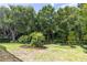 Well-maintained front yard with mature trees, vibrant shrubs, and manicured lawn at 9242 Brindlewood Dr, Odessa, FL 33556