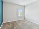 Neutral bedroom with soft carpeting, a window providing natural light, and a vibrant accent wall at 11541 Tangle Branch Ln, Gibsonton, FL 33534