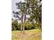 Spacious lot with mature trees offering shade and natural beauty, perfect for outdoor activities at 13186 Thrush St, Spring Hill, FL 34609