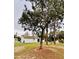 Spacious backyard features mature trees and a well-maintained lawn at 13186 Thrush St, Spring Hill, FL 34609