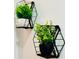 Stylish wall decor featuring plants in geometric black planters, adding a modern touch at 13186 Thrush St, Spring Hill, FL 34609