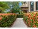 Lush landscaping along brick path to home's entrance at 1391 Marinella Dr, Palm Harbor, FL 34683