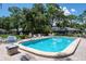 Sparkling community pool with lounge chairs, surrounded by lush greenery and well-maintained landscaping at 1510 Palmer Ct, Palm Harbor, FL 34685