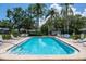 Community pool with lounge chairs, surrounded by lush greenery, offers a relaxing and enjoyable experience at 1510 Palmer Ct, Palm Harbor, FL 34685