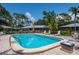 Sparkling community pool with lounge chairs, surrounded by lush greenery and well-maintained landscaping at 1510 Palmer Ct, Palm Harbor, FL 34685