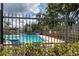 Community pool with clear blue water and lounge chairs beckons you to relax and enjoy the outdoors at 16175 Rambling Vine E Dr, Tampa, FL 33624