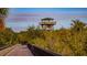 Scenic view of a wooden observation tower surrounded by lush greenery, offering panoramic views of the landscape at 1707 Windsor Way, Tampa, FL 33619