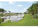 Scenic backyard view of calm lake, lush landscaping, and clear blue skies at 2306 Emerald Lake Dr, Sun City Center, FL 33573