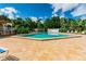 Community pool with a seating area, surrounded by lush landscaping, and a well-maintained deck for relaxation at 2692 Cedarbrooke Dr, Palm Harbor, FL 34684