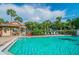 Sparkling community pool with lounge chairs and covered picnic area surrounded by lush landscaping and bright blue sky at 2692 Cedarbrooke Dr, Palm Harbor, FL 34684