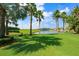 Expansive green space with mature palm trees overlooking a tranquil pond at 314 Blackrock Ln, Apollo Beach, FL 33572