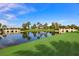Scenic view of a beautiful pond and decorative bridge on a clear day at 314 Blackrock Ln, Apollo Beach, FL 33572