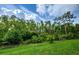 Expansive backyard featuring lush green grass and serene wooded views providing privacy at 4222 Glade Wood Loop, New Port Richey, FL 34655