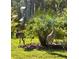 Lawn with Sandhill Cranes and mature landscaping providing privacy at 4222 Glade Wood Loop, New Port Richey, FL 34655