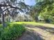 Green backyard with mature trees, creating a private and serene outdoor space at 4404 Hickory Branch Ct, Brandon, FL 33511