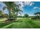 Picturesque golf course featuring lush greenery, palm trees, and a serene lake under a bright sky at 4736 Stonebriar Dr, Oldsmar, FL 34677