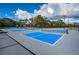 Multiple pickleball courts are perfect for friendly matches and outdoor recreation at 4736 Stonebriar Dr, Oldsmar, FL 34677
