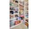 Organized storage shelves maximize vertical space, perfect for various items and personal belongings at 5518 Luminar Pointe Ln, Apollo Beach, FL 33572