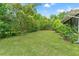 Lush backyard with well-maintained lawn and mature trees offering privacy at 10237 Carrin Rd, Spring Hill, FL 34608