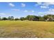 Vast open field perfect for recreational activities and outdoor fun at 15108 Winterwind Dr, Tampa, FL 33624