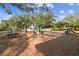 A fun playground provides a safe play area, featuring swings and climbing structures surrounded by trees at 15108 Winterwind Dr, Tampa, FL 33624