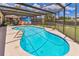 A sparkling blue pool surrounded by a screened enclosure and a lush green lawn, perfect for summer fun at 1910 Montego Ct, Oldsmar, FL 34677