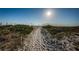 Scenic sandy path leading to the beach, framed by dunes and native vegetation at 19717 Gulf Blvd # V5, Indian Shores, FL 33785