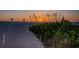 Picturesque beach access with soft sands and native plants, leading to stunning ocean views at 19717 Gulf Blvd # V5, Indian Shores, FL 33785