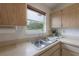 Close-up of kitchen sink and window with a view of the treelined backyard at 208 Oakwood Blvd, Oldsmar, FL 34677