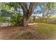 Private backyard featuring a covered patio, mature trees, and lush landscaping creating a serene outdoor space at 2272 Adam Ct, Palm Harbor, FL 34683