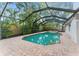 A backyard pool with a screen enclosure is surrounded by tropical landscaping at 2272 Adam Ct, Palm Harbor, FL 34683