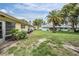 Expansive backyard with lush landscaping and mature palm trees in a well maintained community at 2465 Northside Dr # 605, Clearwater, FL 33761