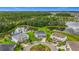 Expansive aerial of homes in a cul-de-sac neighborhood with water views, lush landscaping, and scenic surroundings at 33668 Willow Point Ct, Wesley Chapel, FL 33545