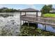 Scenic lake view featuring a charming gazebo and peaceful water lilies at 4130 Dolphin Dr, Tampa, FL 33617