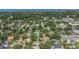 Community aerial shot showcasing neighborhood homes surrounded by mature trees and foliage at 4206 W Palmira Ave, Tampa, FL 33629