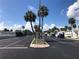 Wide community road lined with palm trees and well-kept homes at 4851 W Gandy Blvd # B2L10, Tampa, FL 33611