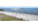 Sandy beach with gentle waves and scattered greenery, offering a tranquil coastal setting at 5240 31St S Ave, Gulfport, FL 33707