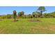 View of backyard area at 6133 Wire Grass Ct, Nokomis, FL 34275