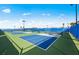 Outdoor pickleball court featuring the community's logo on the net and privacy screen at 6133 Wire Grass Ct, Nokomis, FL 34275