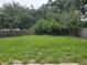 Spacious backyard with lush green grass and mature trees, perfect for outdoor activities and landscaping at 6203 Calamari Pl, Riverview, FL 33578