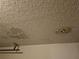 Garage ceiling with peeling paint and signs of visible water damage at 6203 Calamari Pl, Riverview, FL 33578