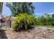 View of the landscaped backyard with palm trees, bushes, and a wooden fence at 8701 Driftwood Drive Dr, Tampa, FL 33615