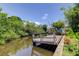 Private wooden dock on a canal surrounded by lush green foliage and serene water views at 8701 Driftwood Drive Dr, Tampa, FL 33615