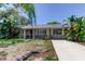 Attractive single-story home with a lush, tropical landscaped front yard at 8701 Driftwood Drive Dr, Tampa, FL 33615