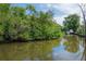 Tranquil waterfront scene highlighting lush greenery and a private dock, offering a serene escape at 8701 Driftwood Drive Dr, Tampa, FL 33615